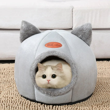 Pet Care