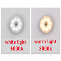 Two light bulbs labeled 'white light 6000k' and 'warm light 3000k' on a gray background.
