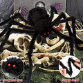 Halloween spider decoration with skeleton and墓地 background