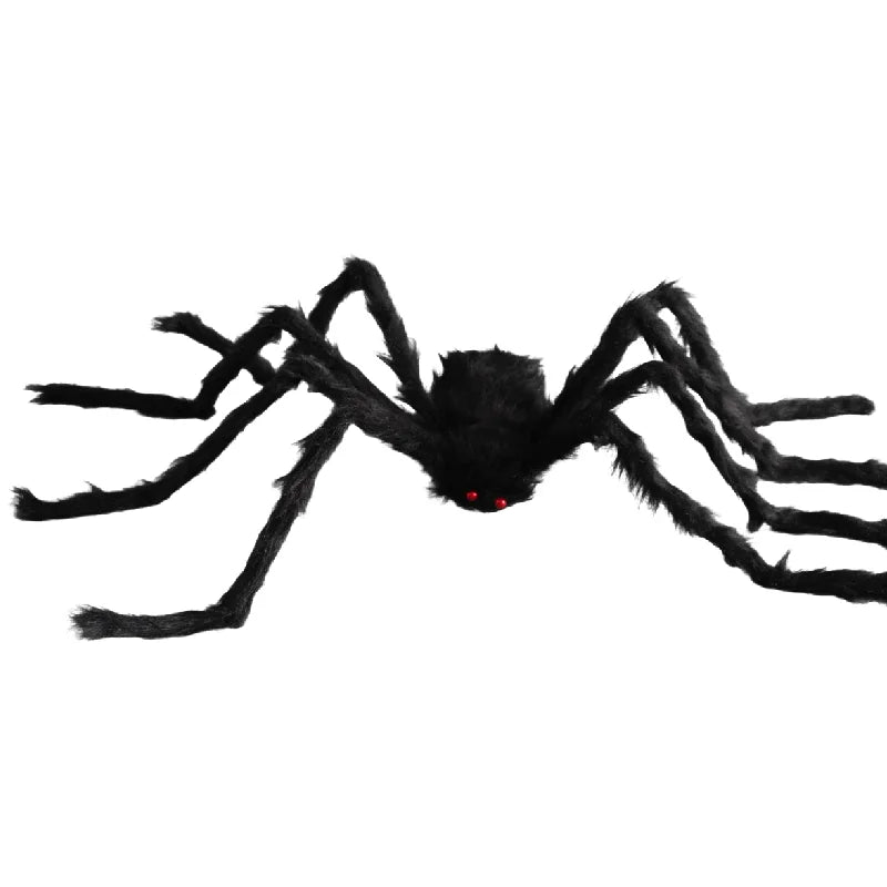 Black spider with red eyes on a white background