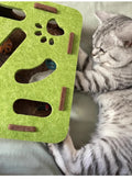 Cat playing with a green scratcher toy