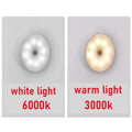 Two light bulbs labeled 'white light 6000k' and 'warm light 3000k' on a gray background.