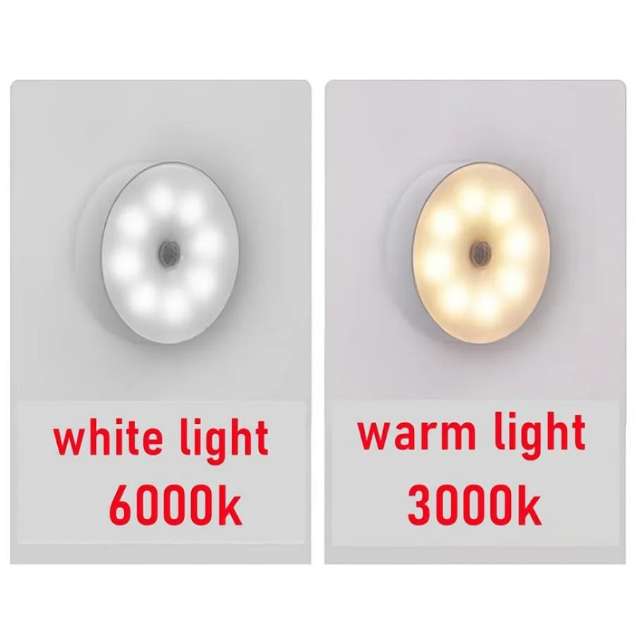 Two light bulbs labeled 'white light 6000k' and 'warm light 3000k' on a gray background.