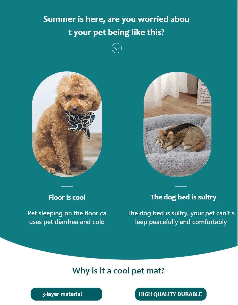 Advertisement for a cool pet mat with two dogs, one on the floor and one on a mat, against a teal background.